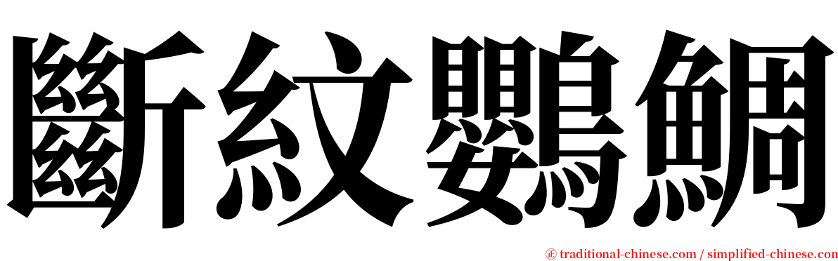 斷紋鸚鯛 serif font