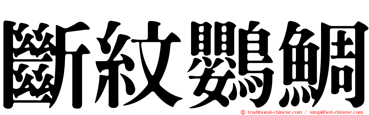 斷紋鸚鯛