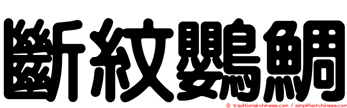 斷紋鸚鯛