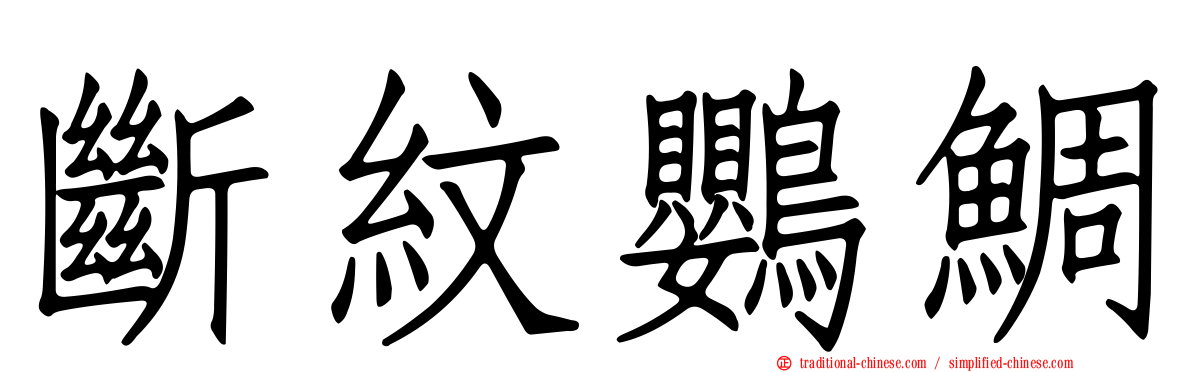 斷紋鸚鯛