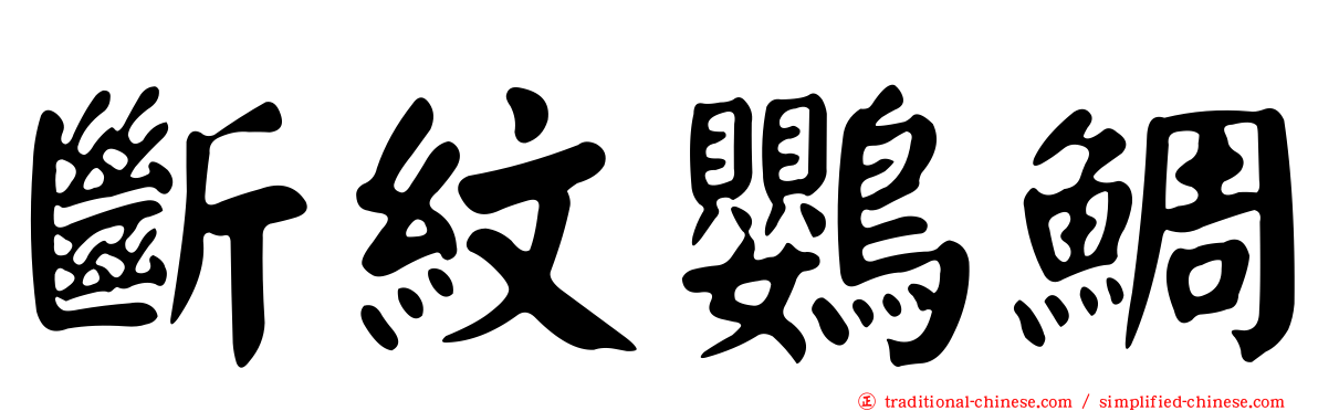 斷紋鸚鯛