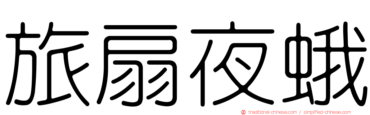 旅扇夜蛾