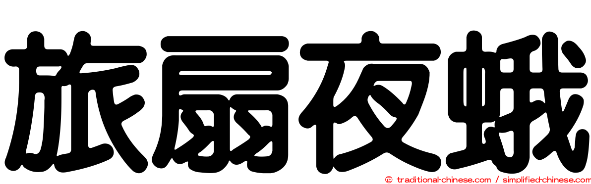 旅扇夜蛾