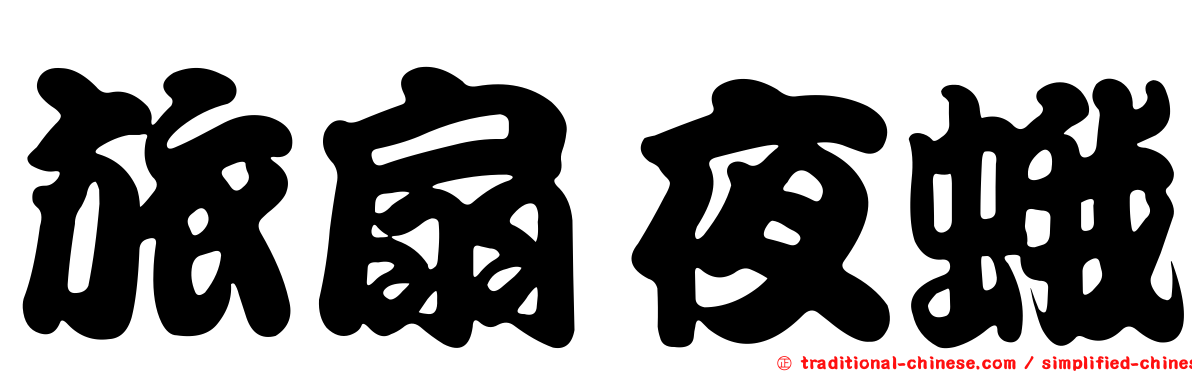 旅扇夜蛾