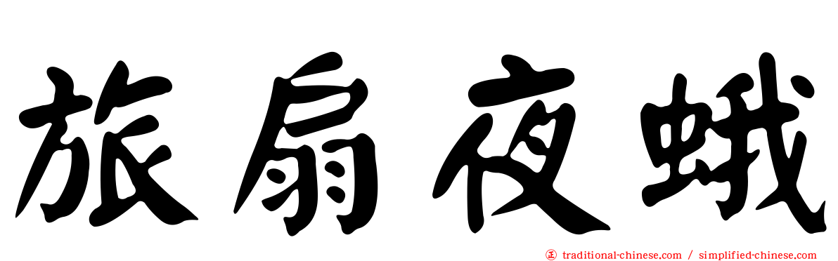 旅扇夜蛾