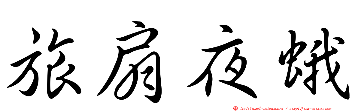旅扇夜蛾