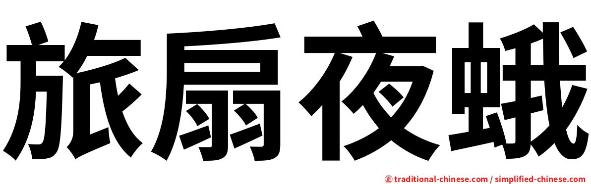 旅扇夜蛾