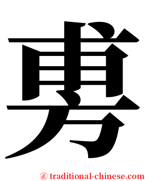 旉 serif font
