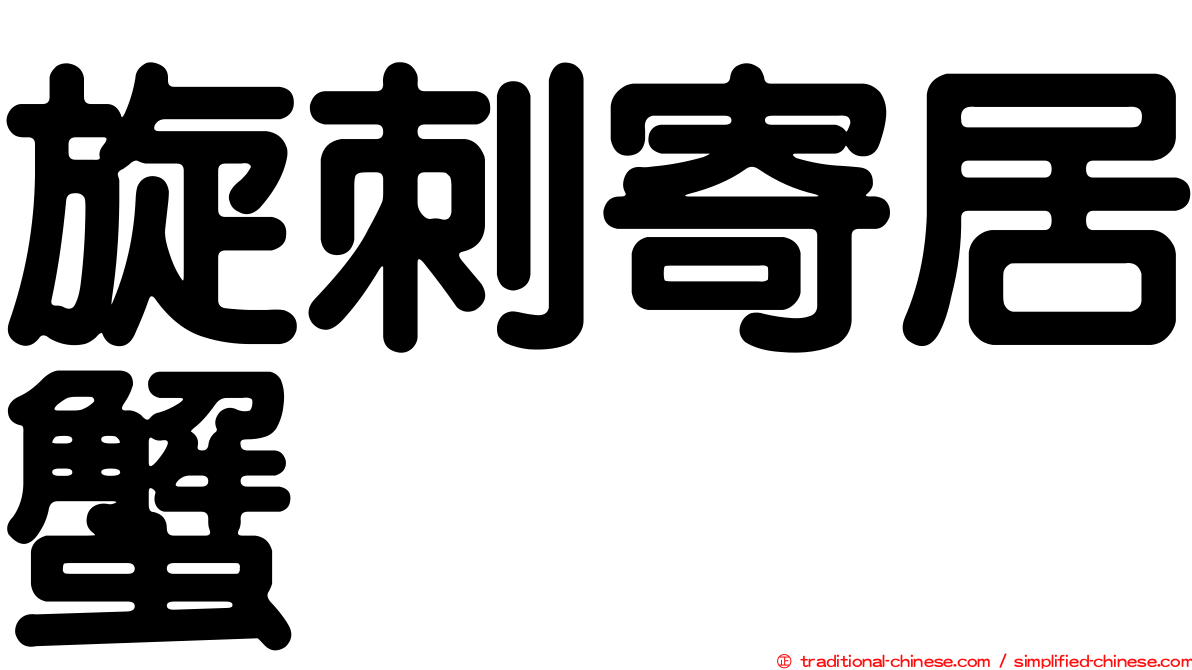旋刺寄居蟹