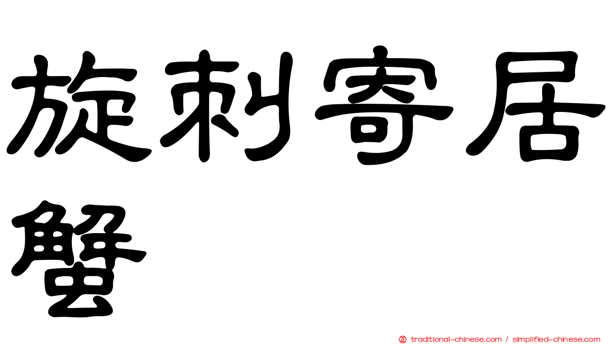 旋刺寄居蟹