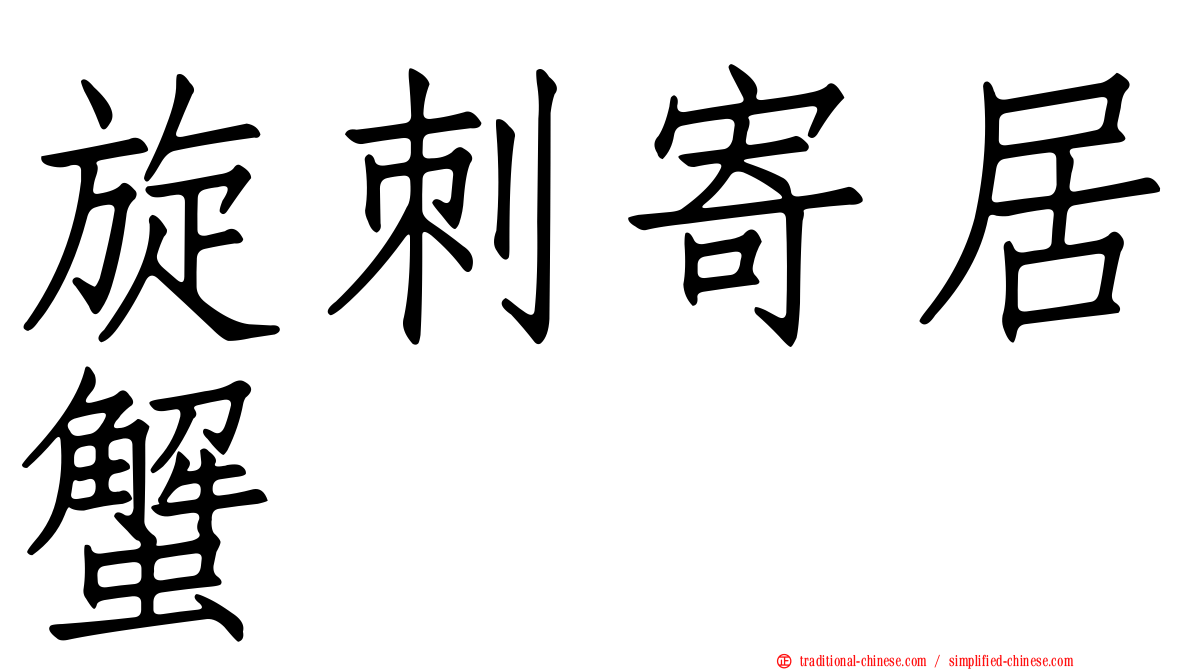 旋刺寄居蟹