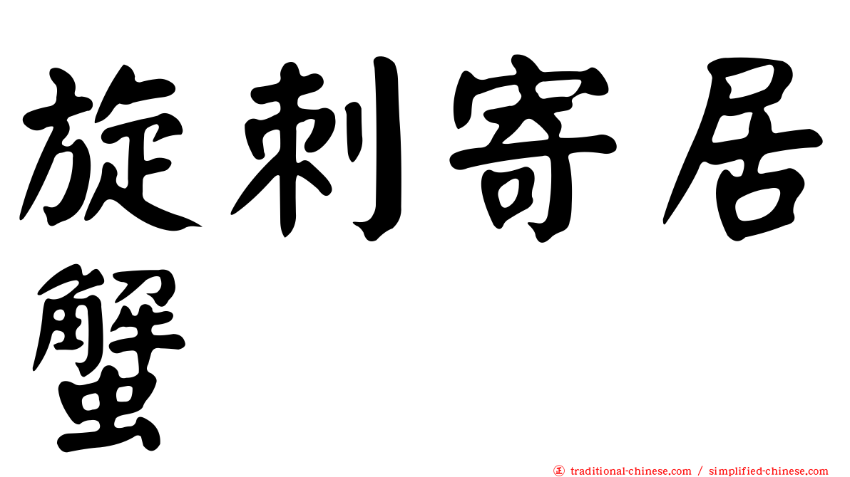 旋刺寄居蟹