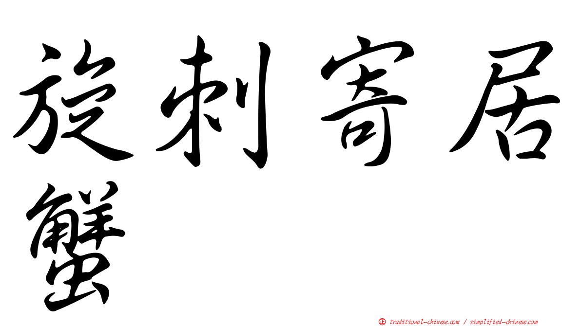 旋刺寄居蟹