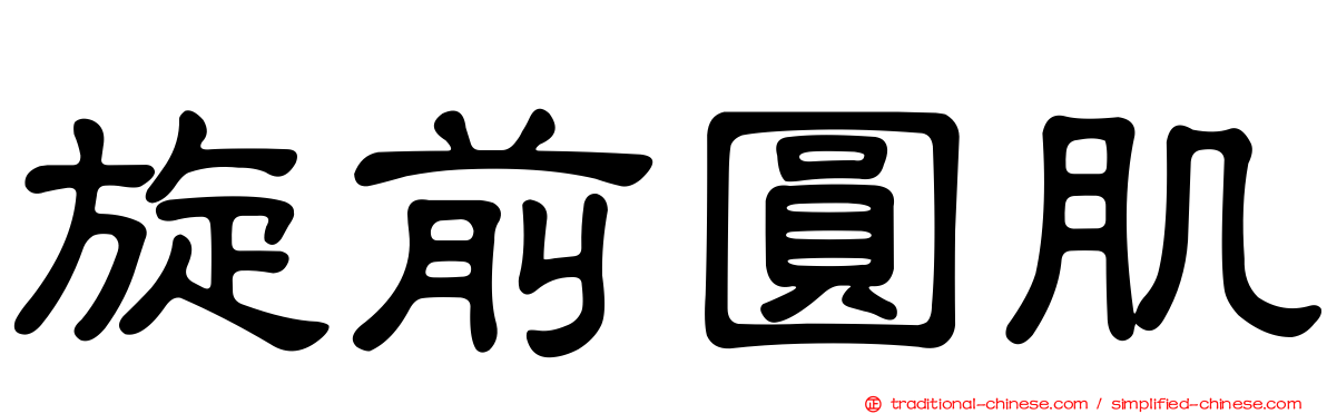 旋前圓肌