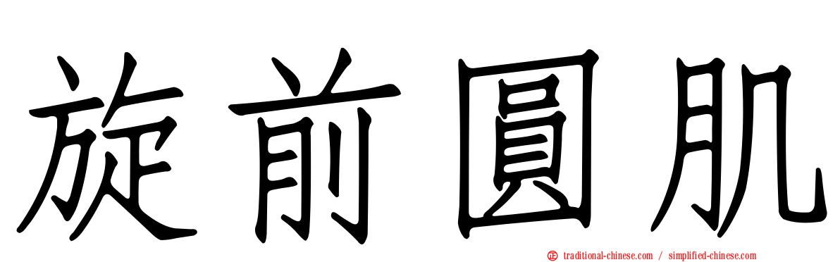 旋前圓肌