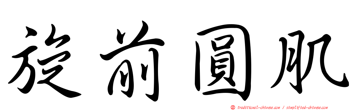 旋前圓肌