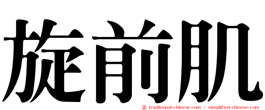 旋前肌