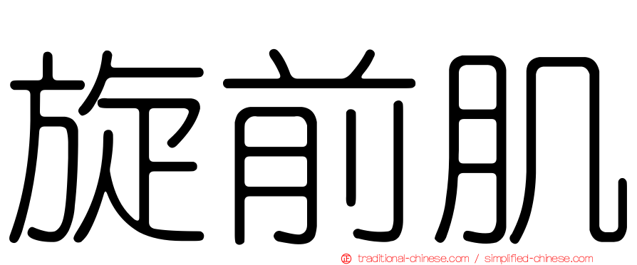 旋前肌