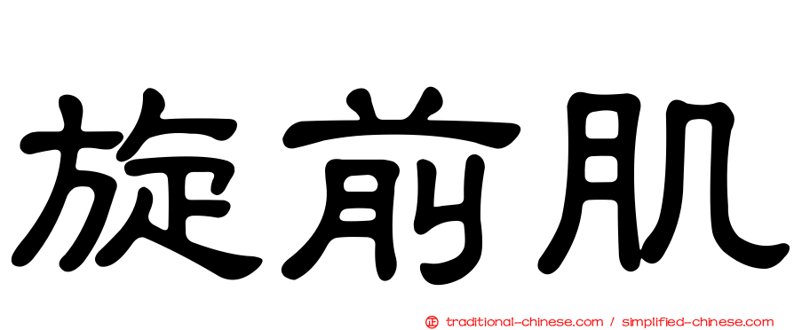 旋前肌