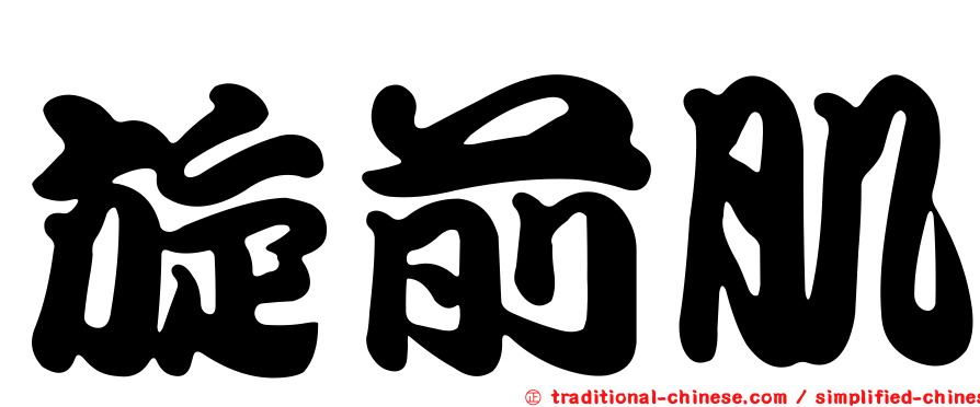 旋前肌