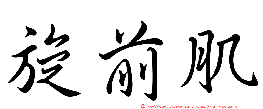 旋前肌