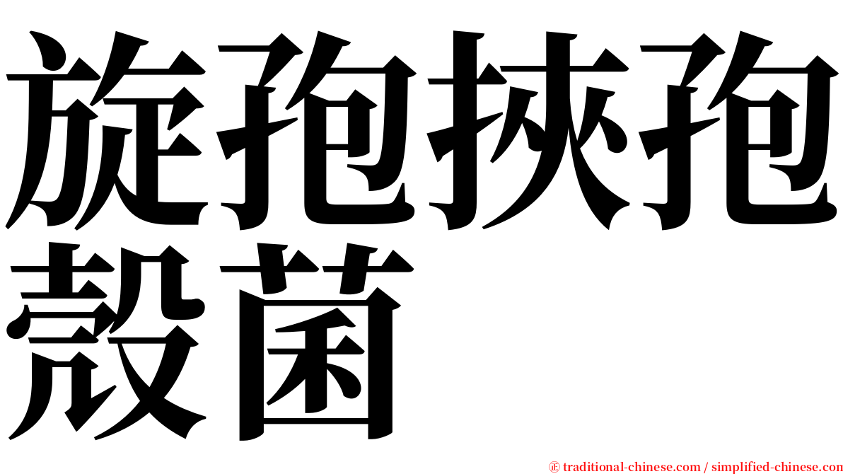 旋孢挾孢殼菌 serif font