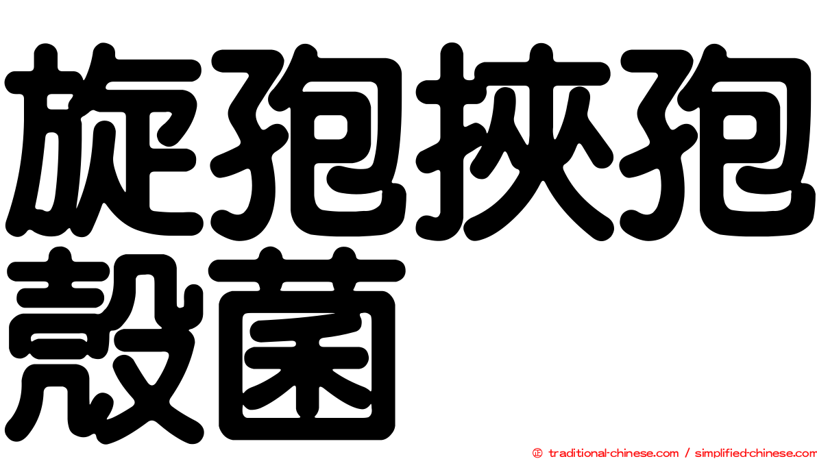 旋孢挾孢殼菌