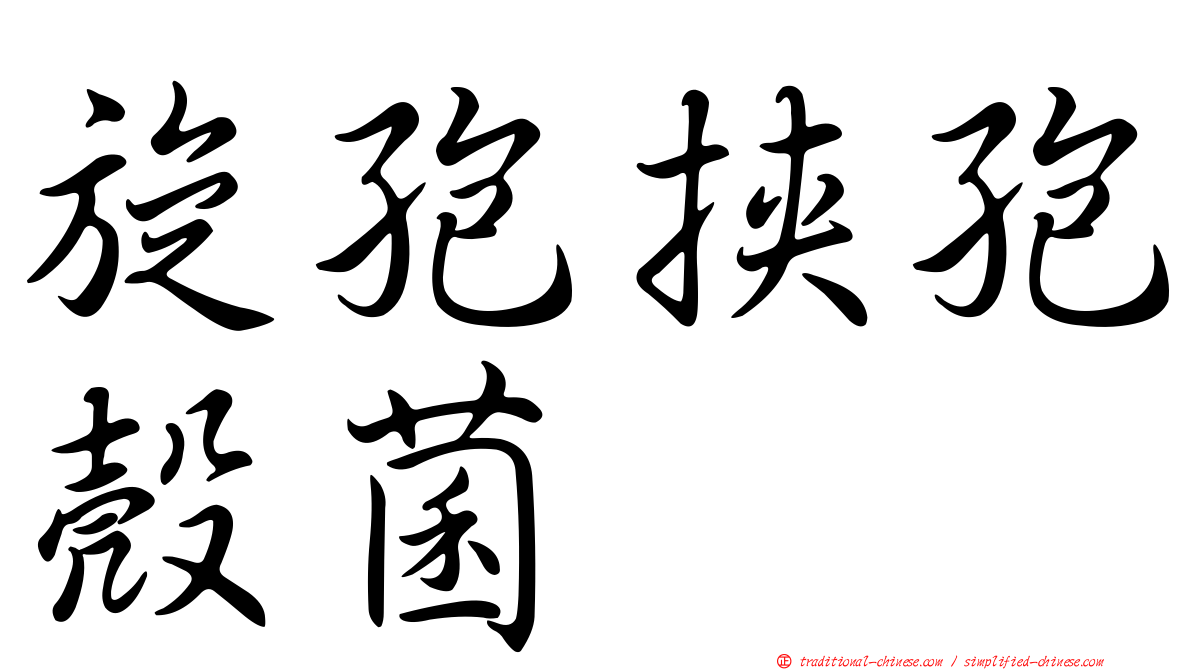 旋孢挾孢殼菌