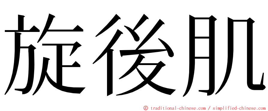 旋後肌 ming font