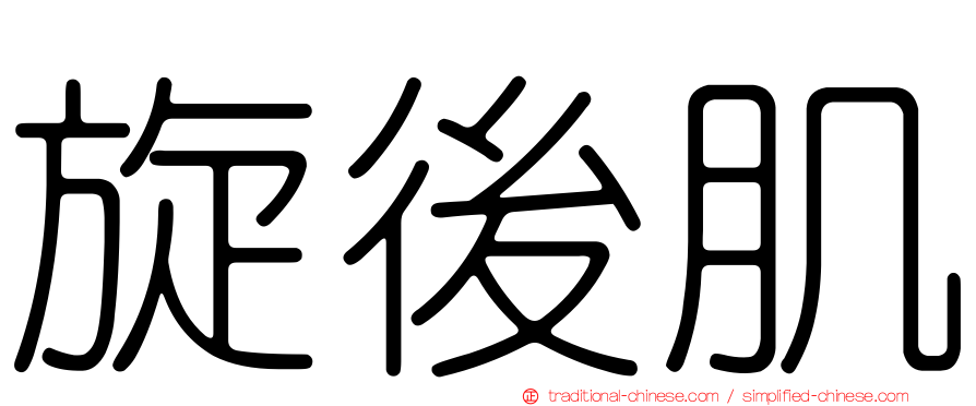 旋後肌