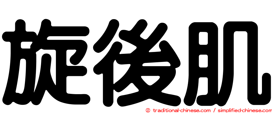 旋後肌
