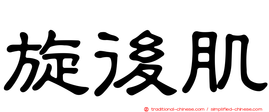 旋後肌