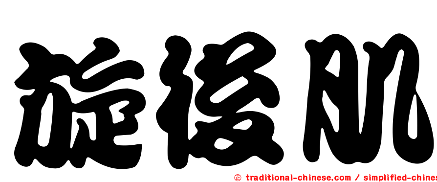 旋後肌