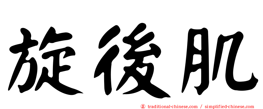 旋後肌