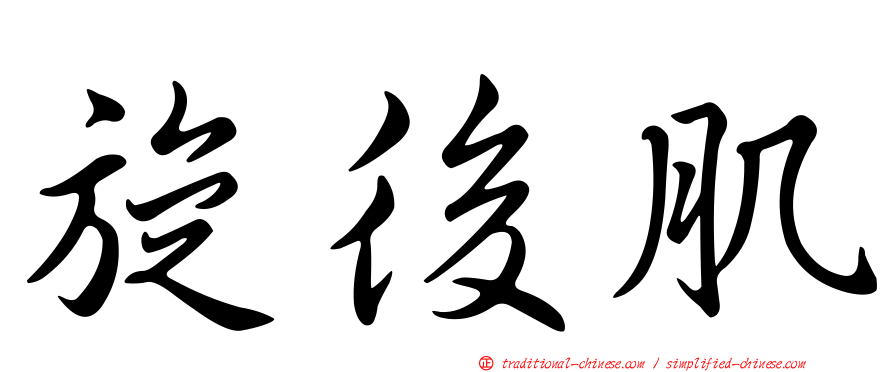 旋後肌