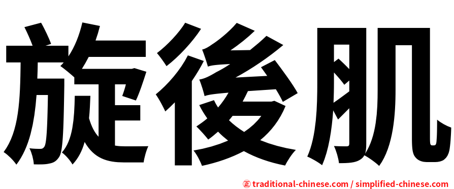 旋後肌