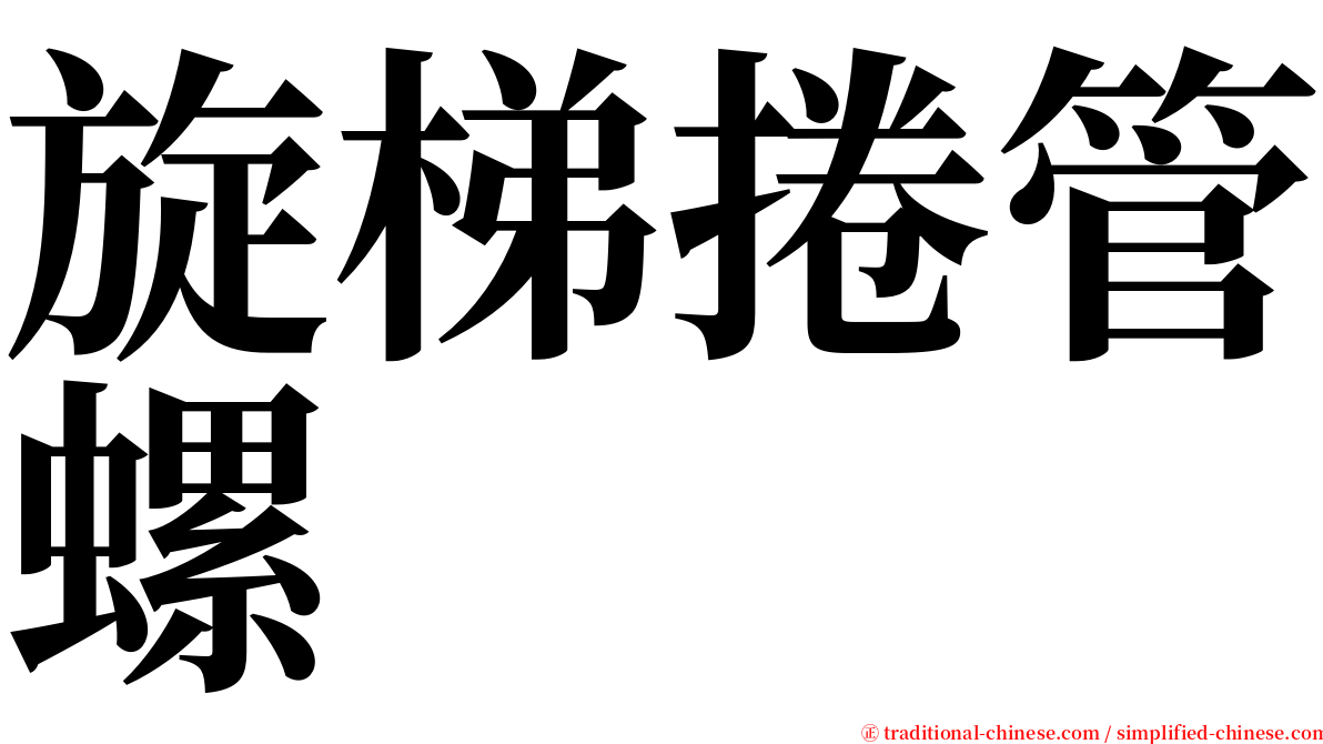 旋梯捲管螺 serif font