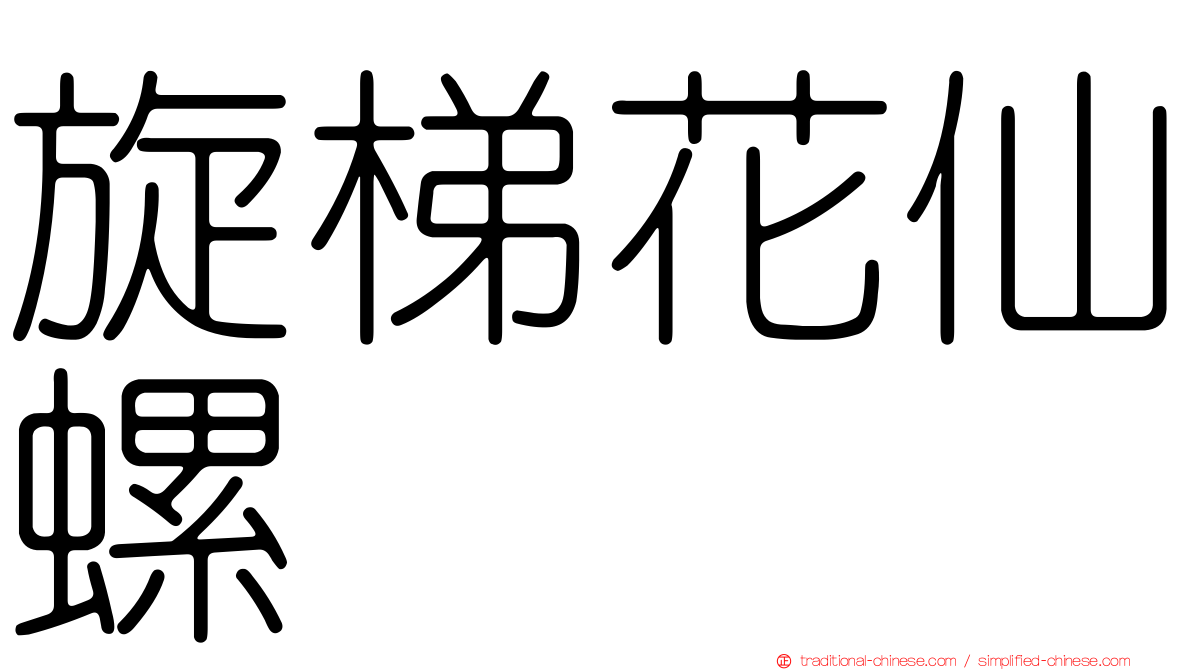 旋梯花仙螺