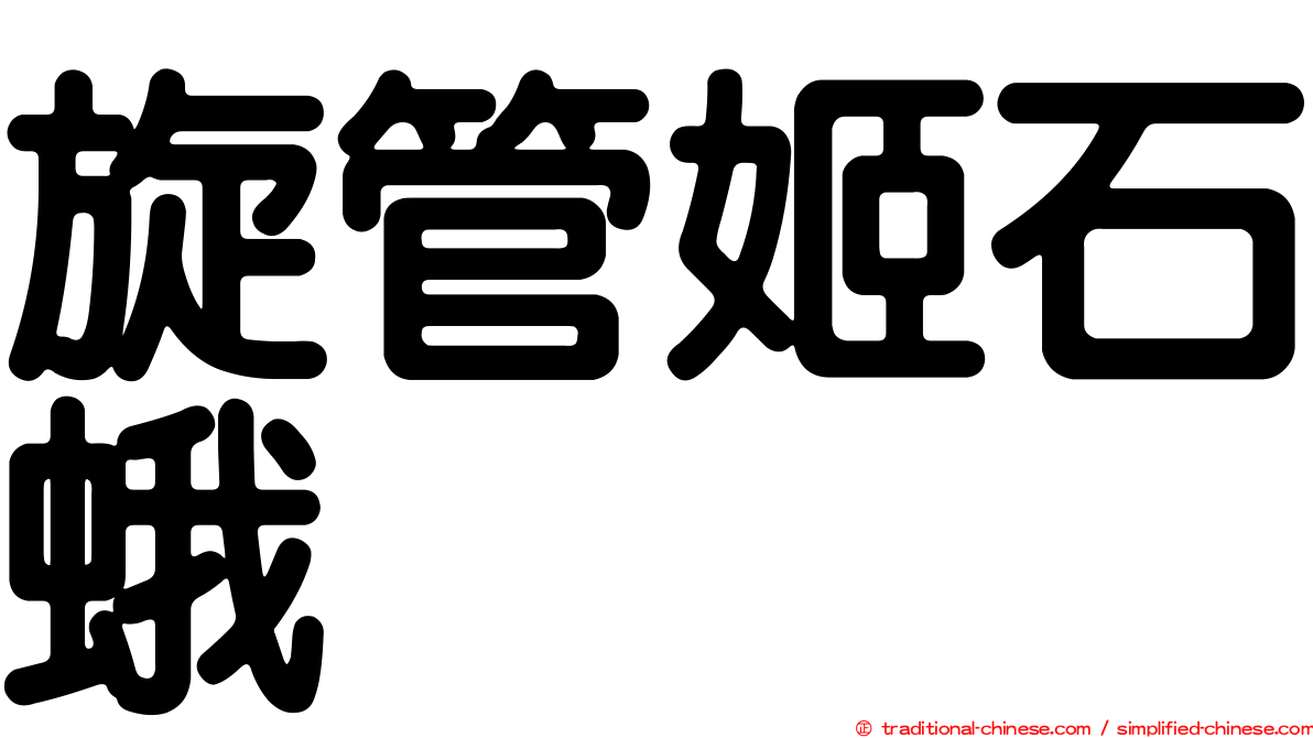 旋管姬石蛾