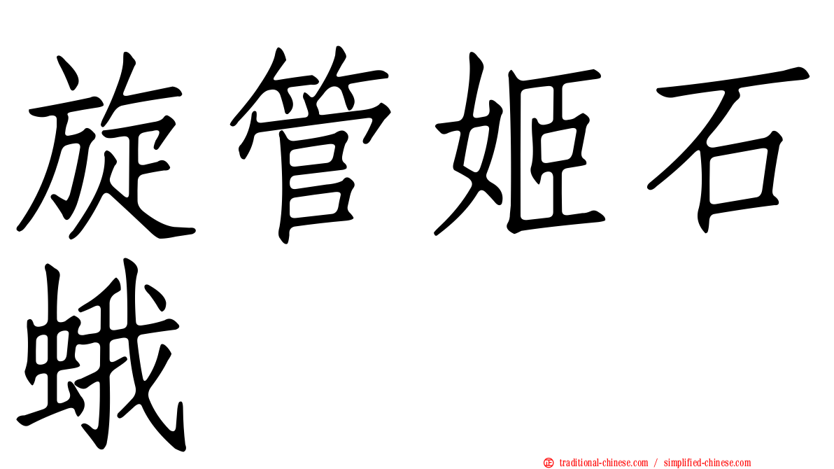 旋管姬石蛾