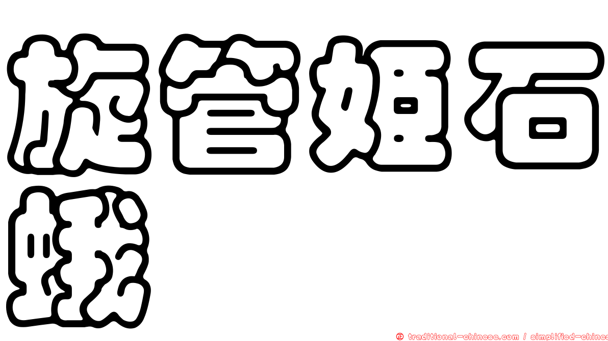 旋管姬石蛾