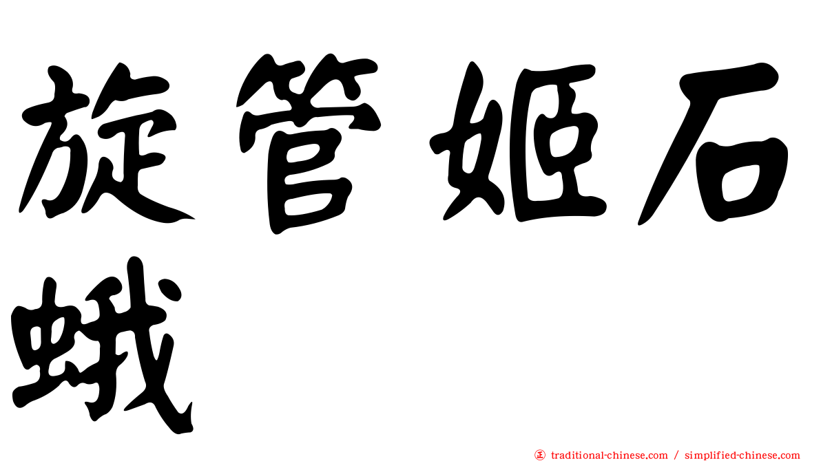 旋管姬石蛾