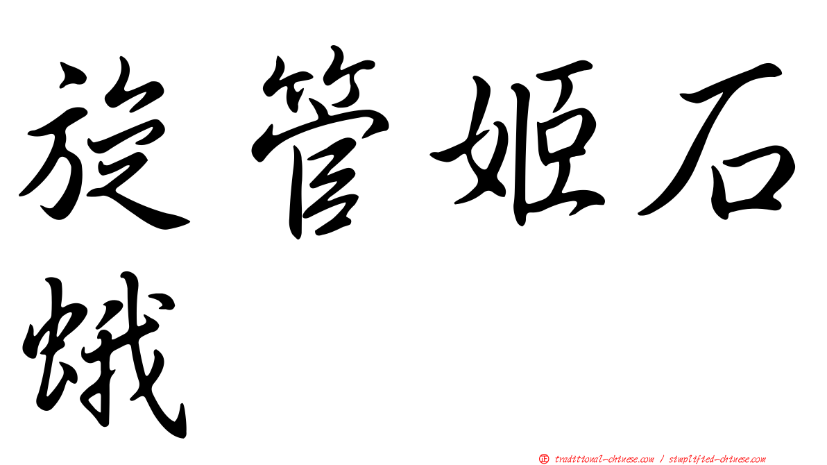 旋管姬石蛾