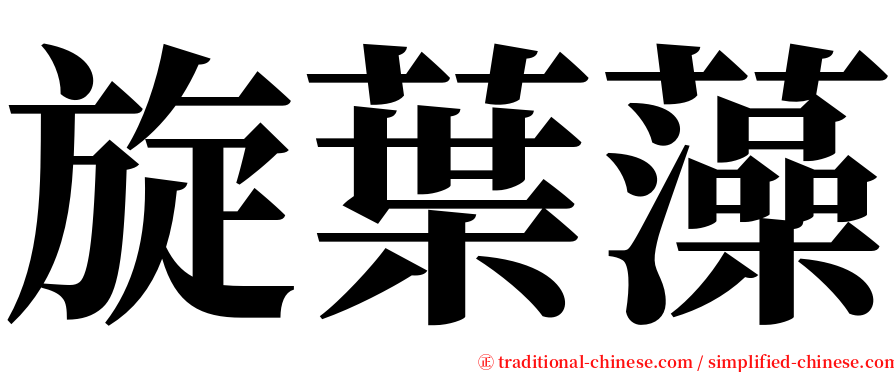 旋葉藻 serif font
