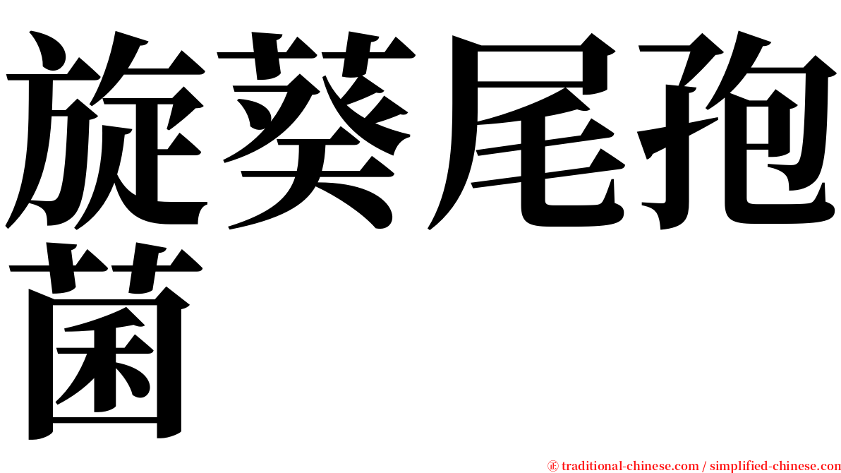 旋葵尾孢菌 serif font