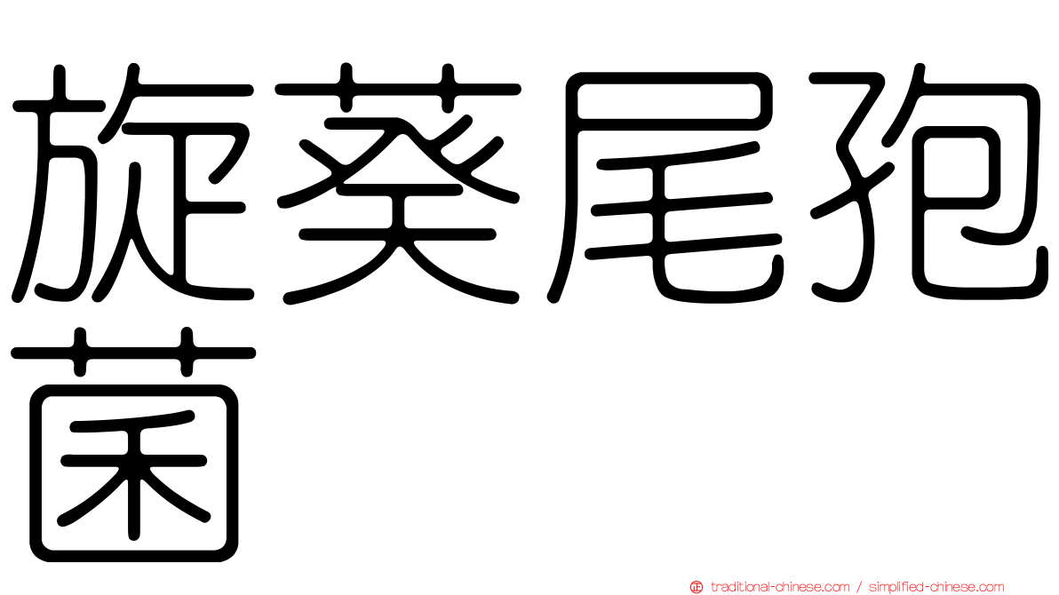旋葵尾孢菌