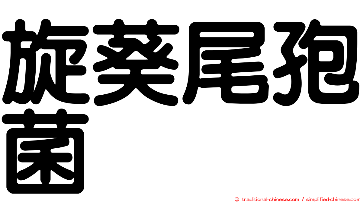 旋葵尾孢菌