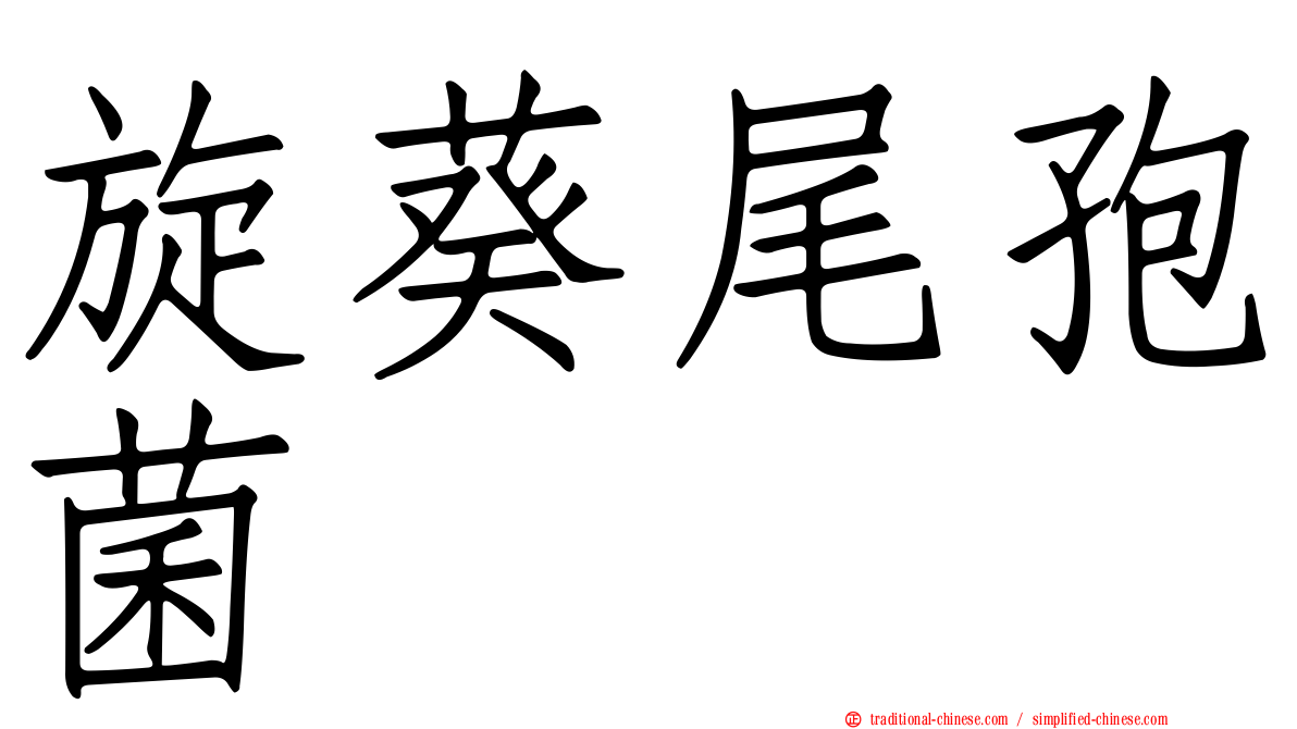 旋葵尾孢菌
