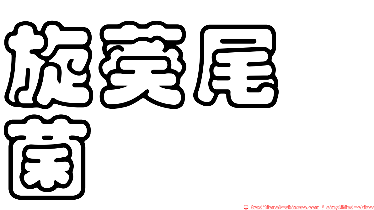 旋葵尾孢菌