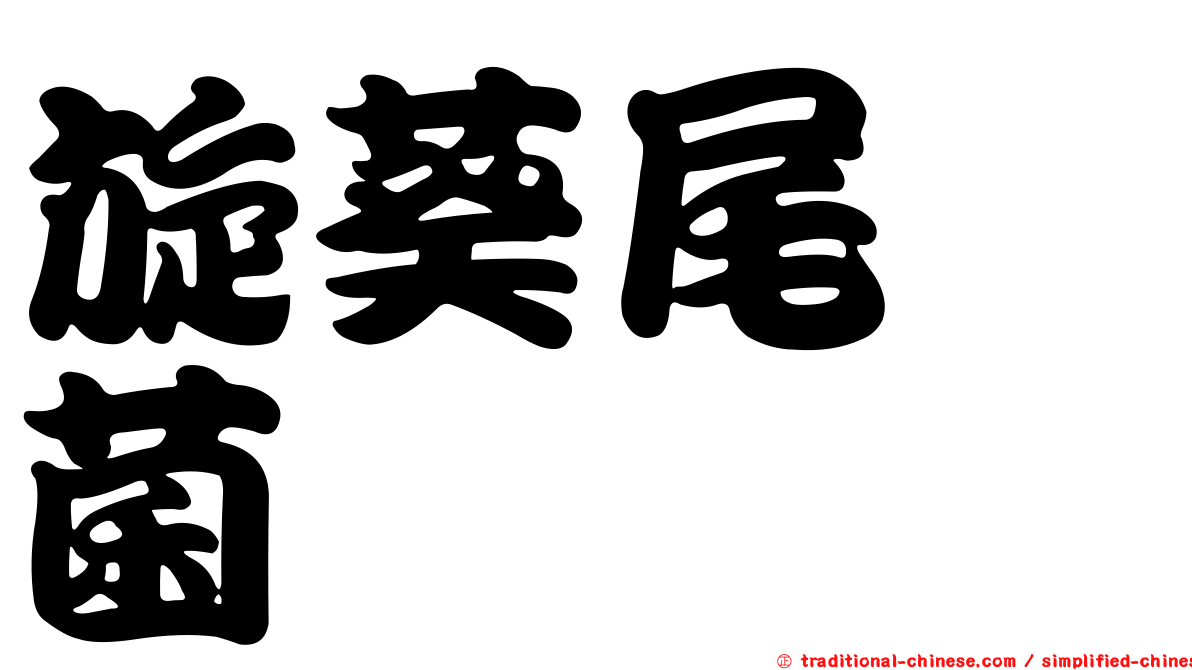 旋葵尾孢菌
